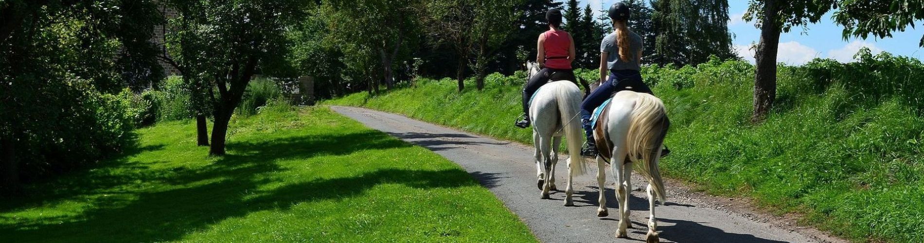 Paardrijden tijdens uw vakantie
