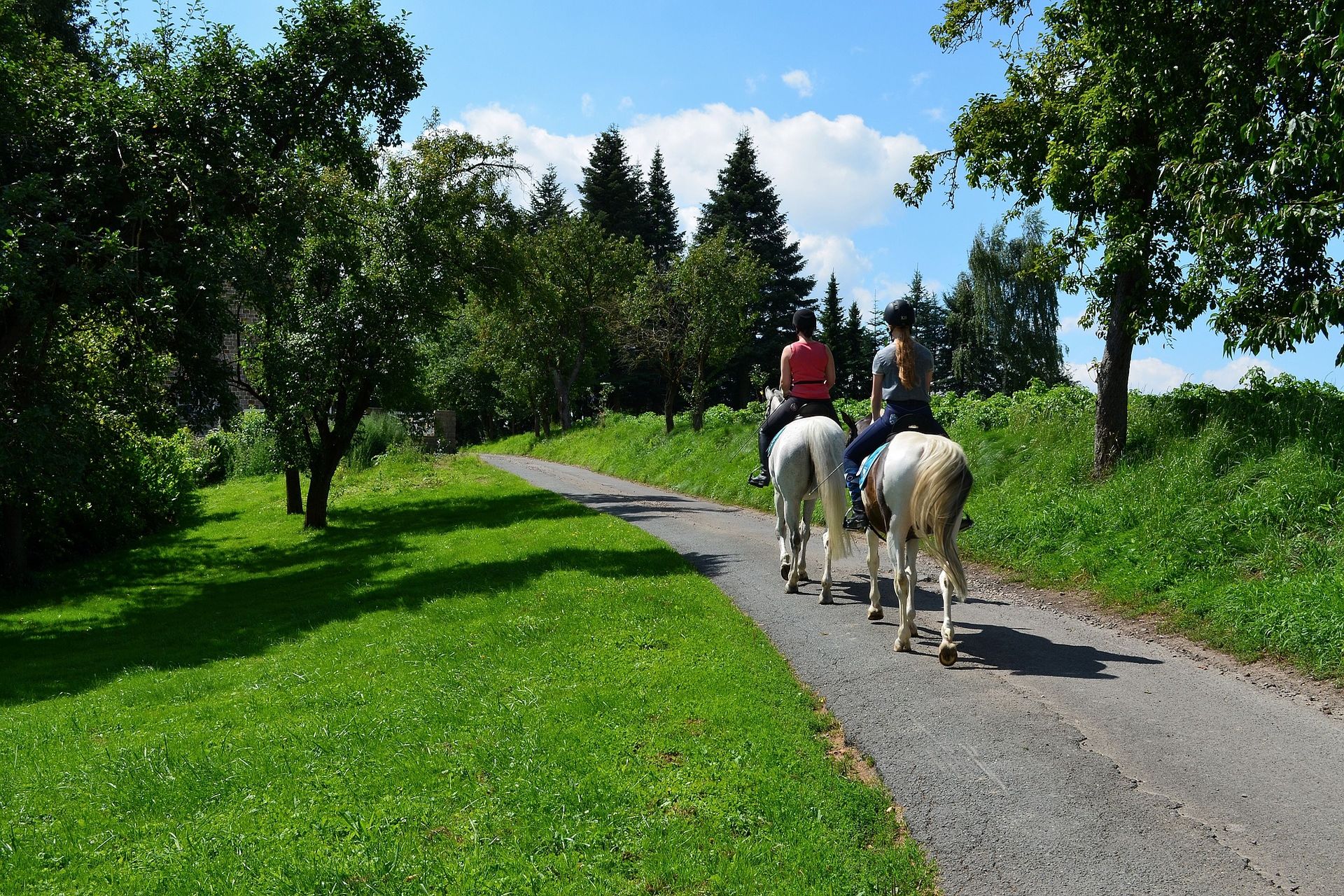 Paardrijden tijdens uw vakantie