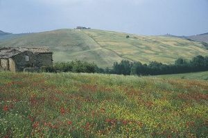 Prachtig landschap in Toscane - rondreis met auto