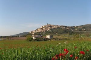 Uitzicht op Trevi - autorondreis Umbrië