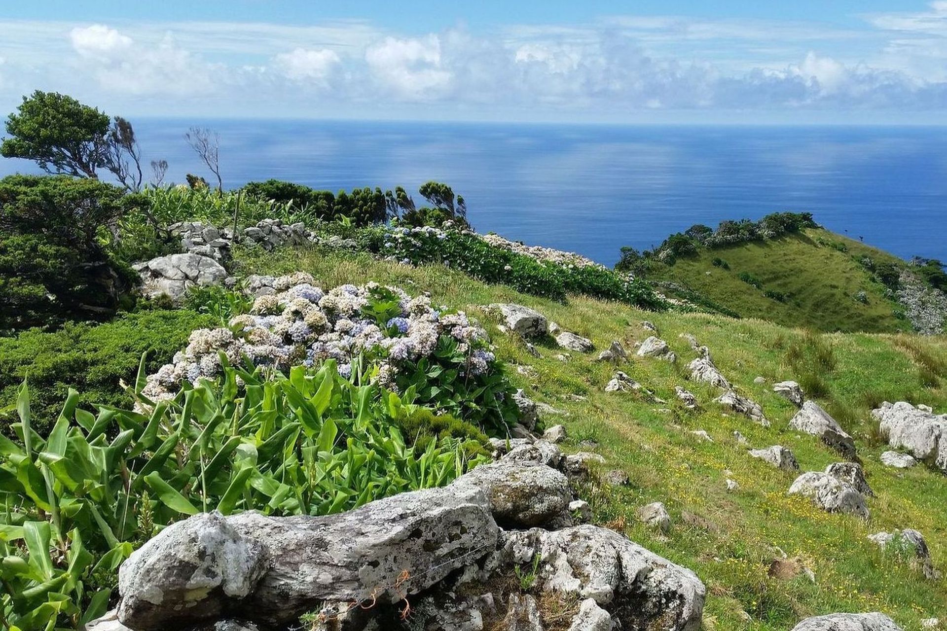 Landschap op Flores, Azoren - Eilandhoppen